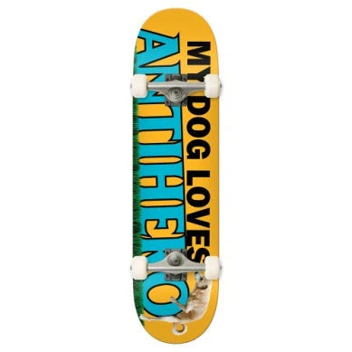 Complete Skateboards